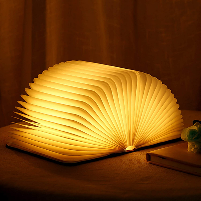 Lampe de livre enchantée